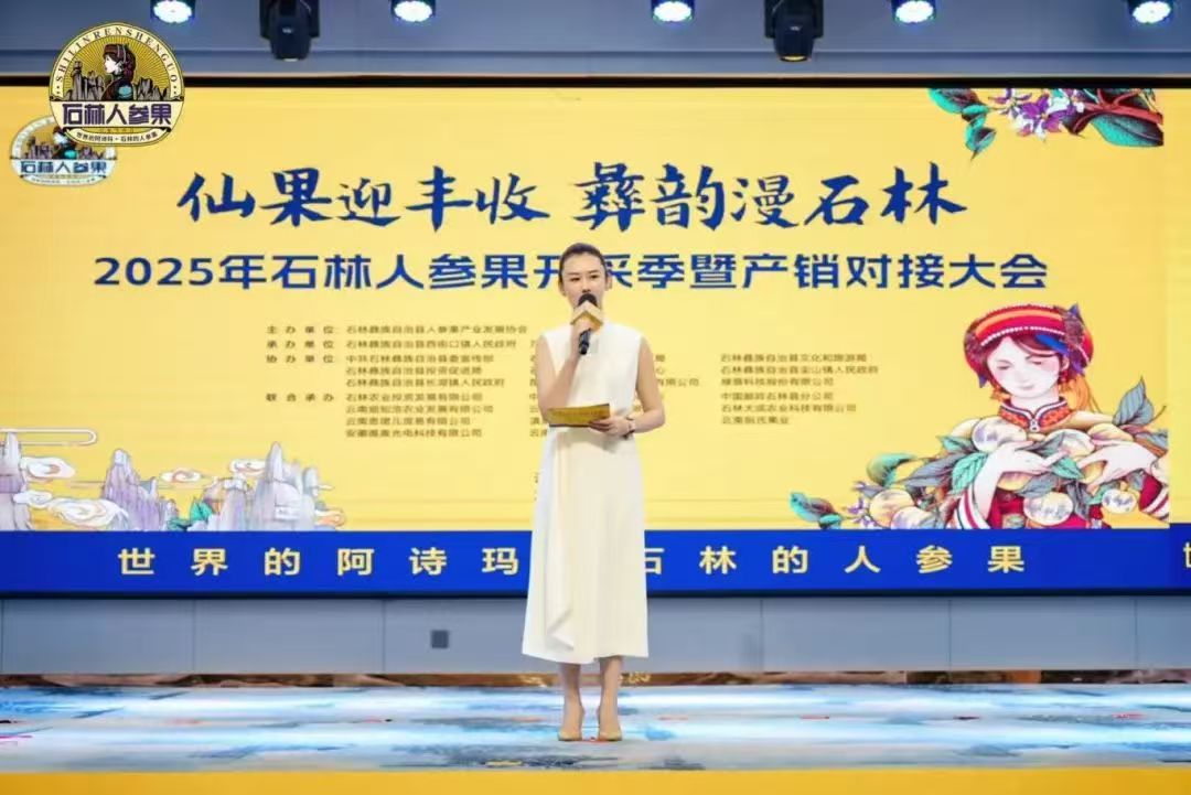 VSEE SORTING appeared at the Shilin Ginseng Fruit Production and Marketing Matchmaking Conference, and intelligent sorting technology empowered industrial upgrading.