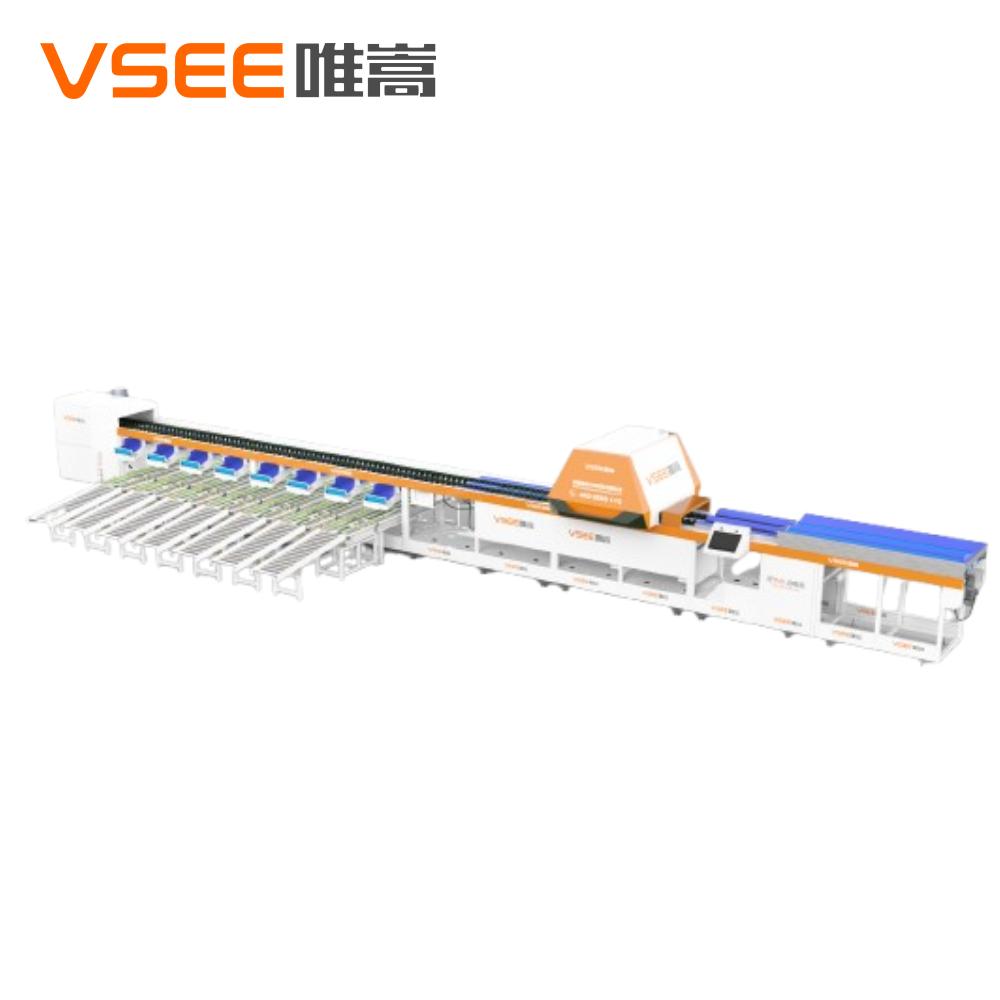 Automatic Orange Electric Grading Machine with Fruit External Optical Camera Sorting - VSEE