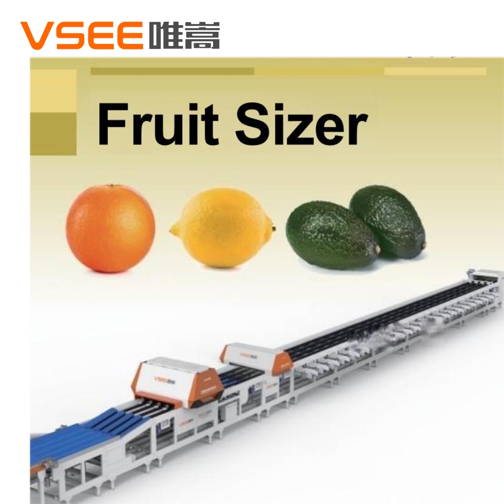 Post Harvest Processing of Citrus Fruits Orange Sorting Machine - VSEE