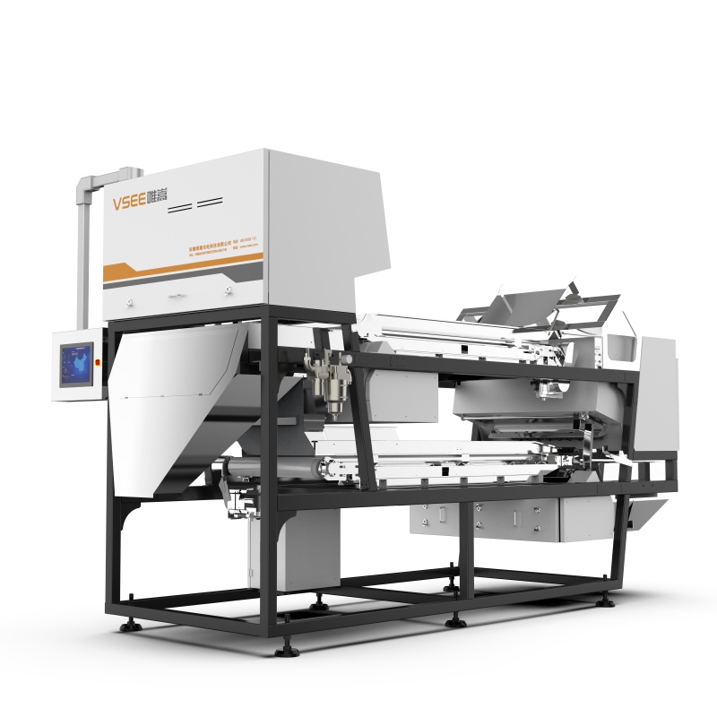 AI intelligent color sorter efficiently and accurately sorts Camellia oleifera seeds