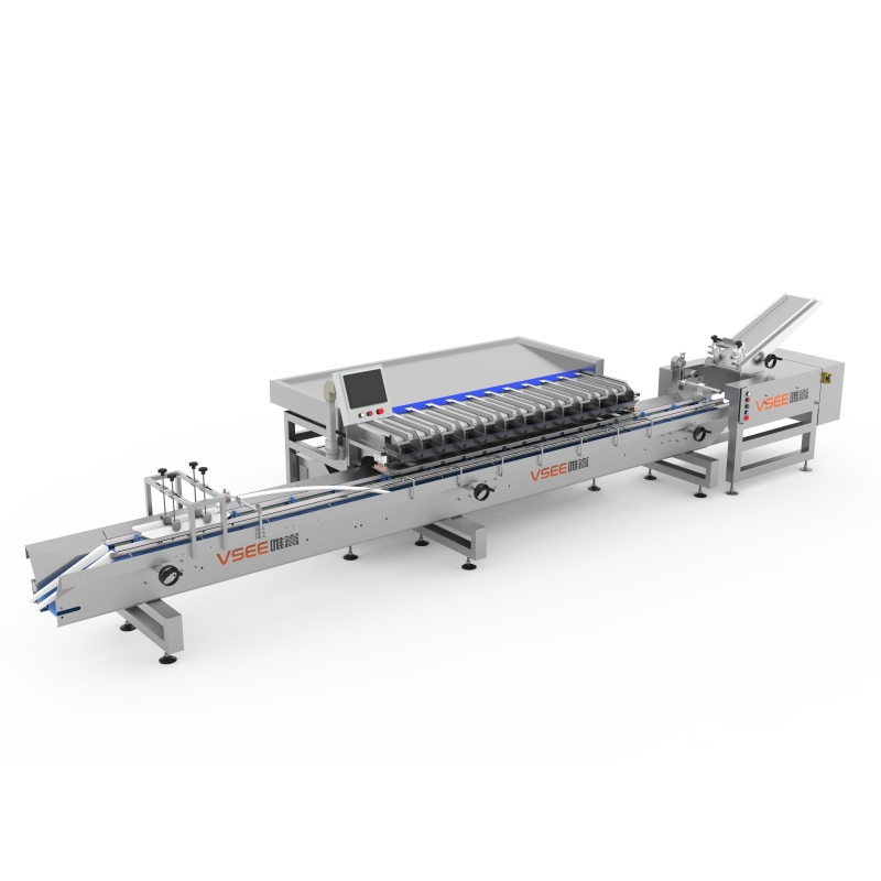 Blueberry Packaging filler