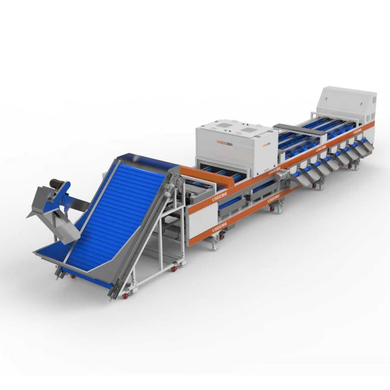 AI Nut Sorting Machine